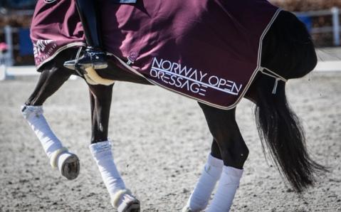 hest / Norges Rytterforbund