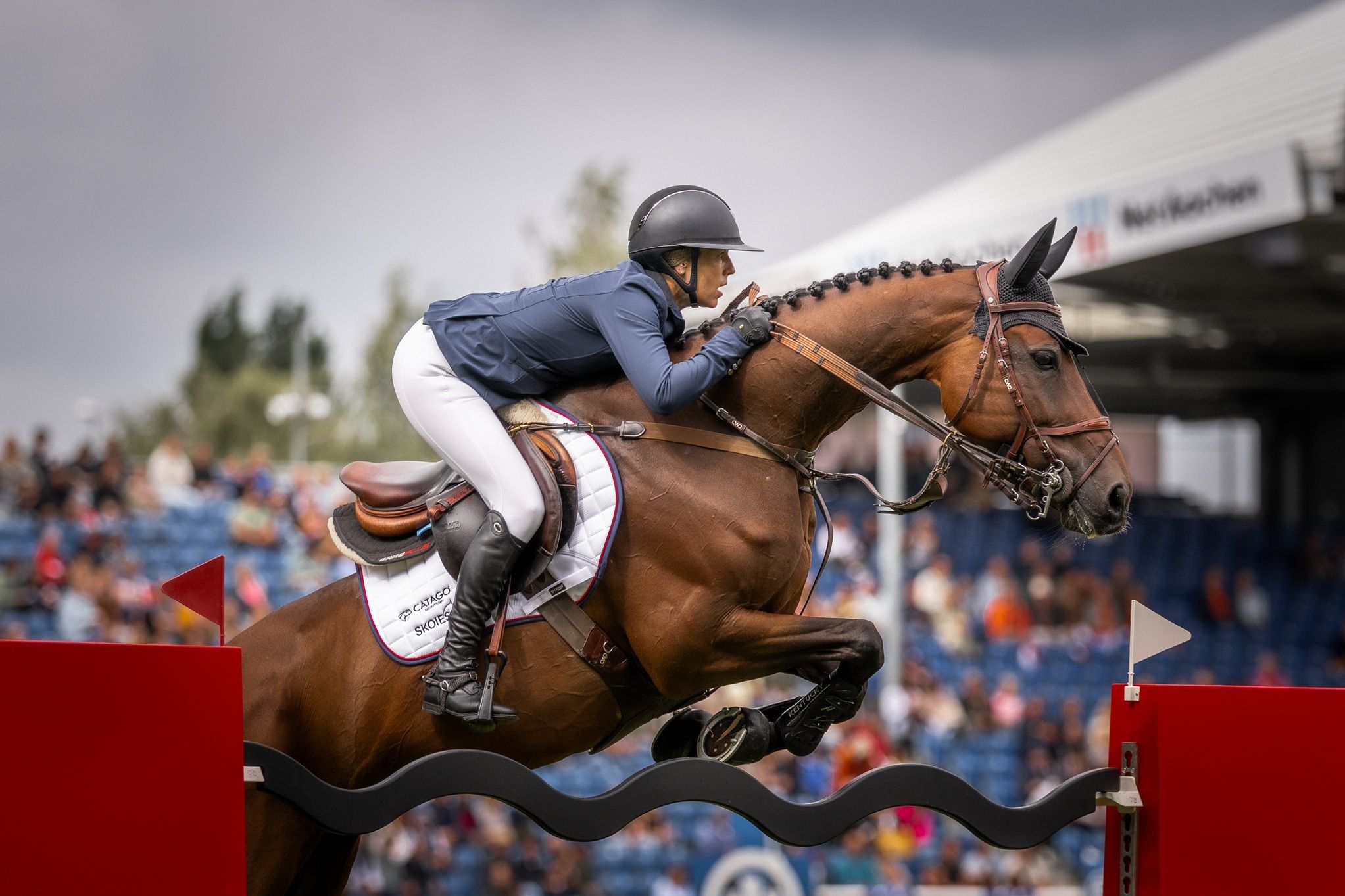 hest / Norges Rytterforbund / Marit Haarr Skollerud