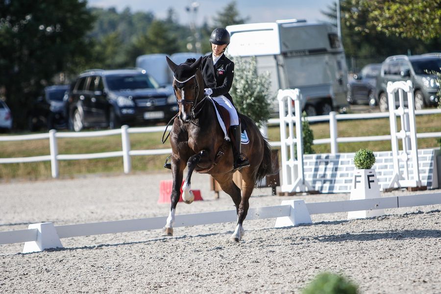 hest / Norges Rytterforbund