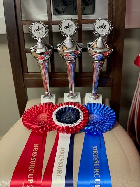 Finnmark Rytterkrets / dressurcup