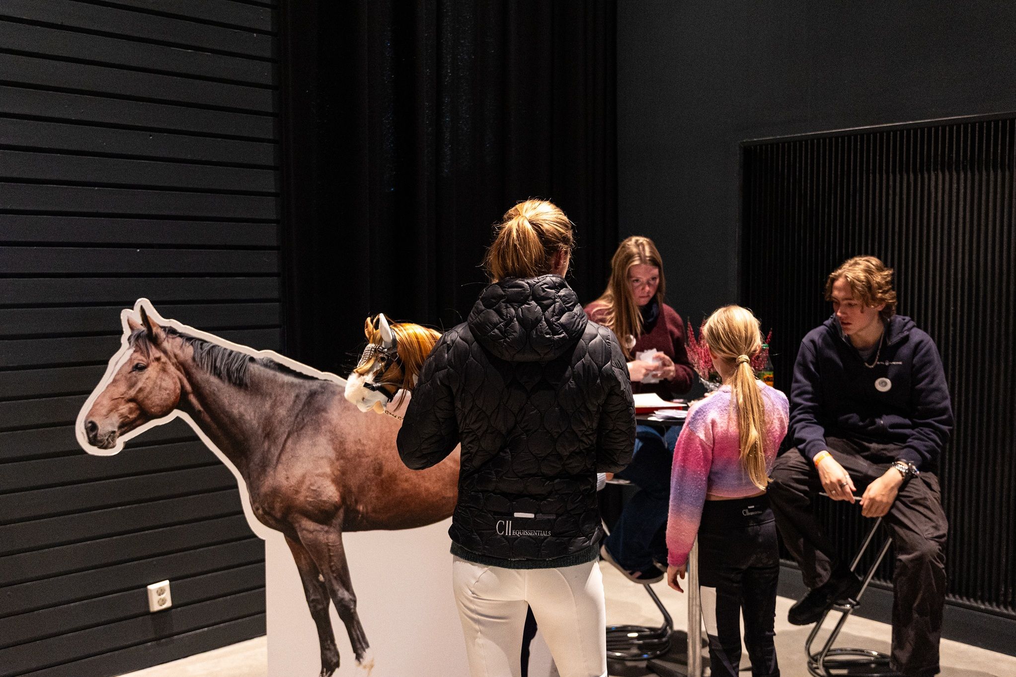 hest / dyrevelferd for alle / Norges Rytterforbund