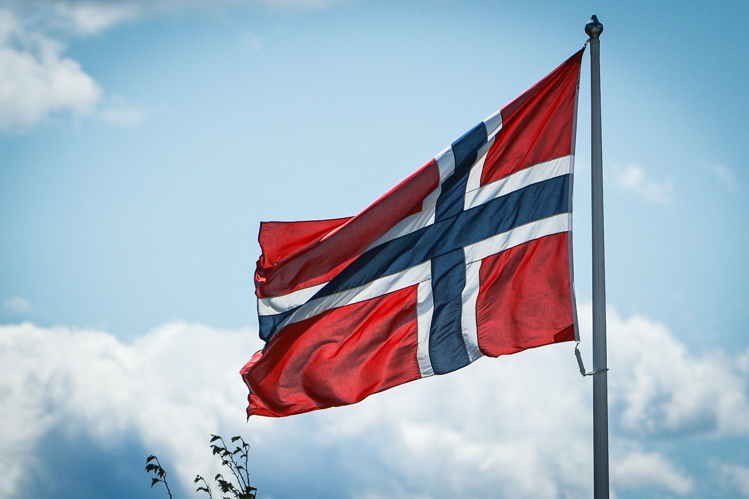 hest / Norges Rytterforbund 