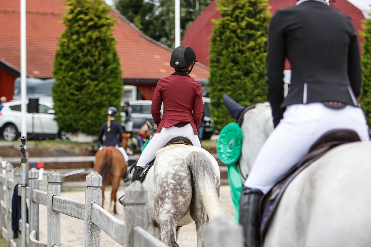 hest / Norges Rytterforbund