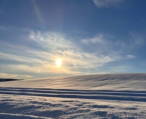 hest / Norges Rytterforbund