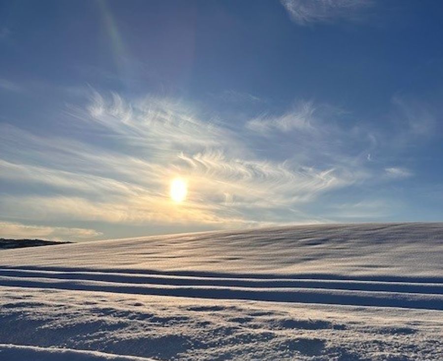 hest / Norges Rytterforbund