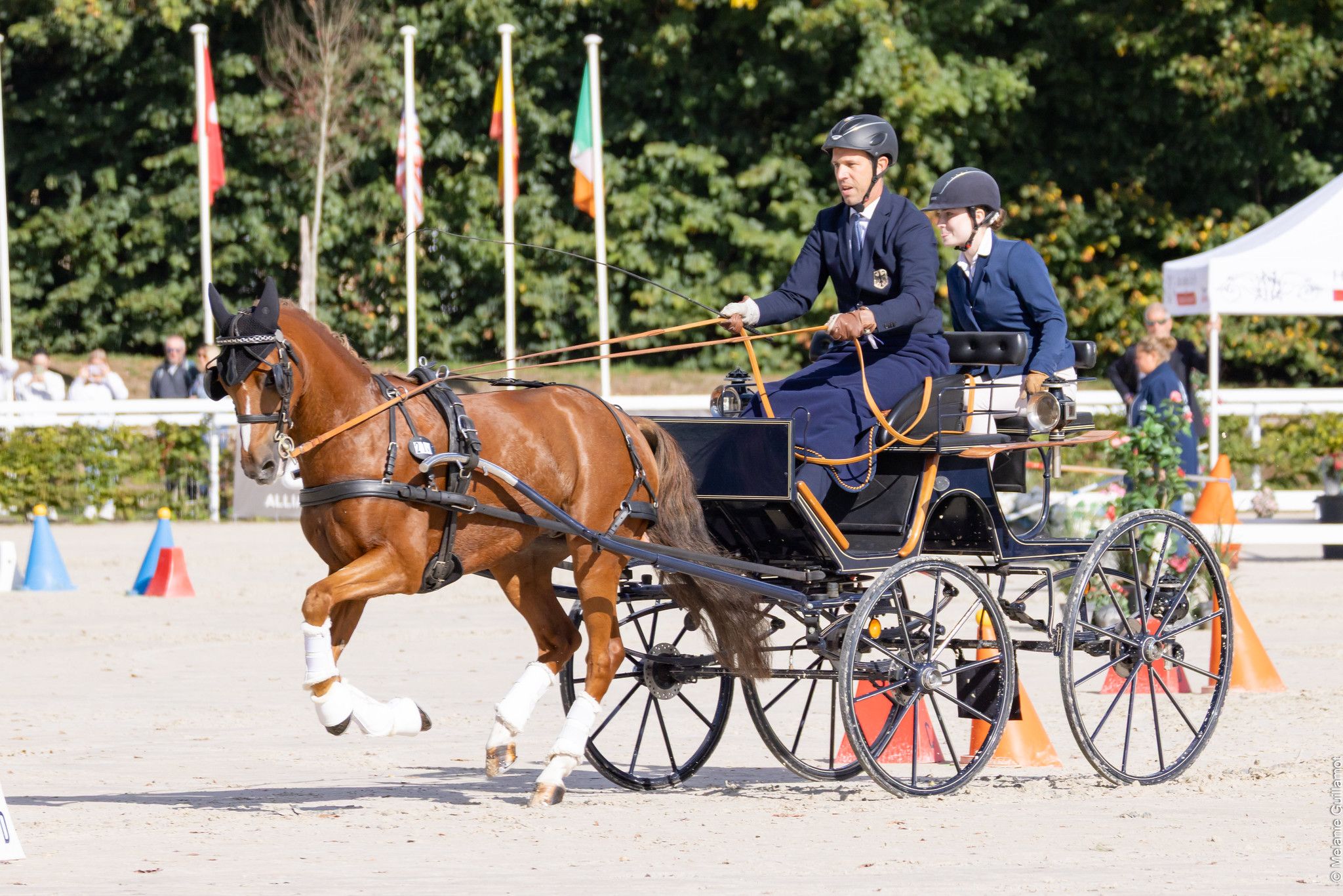 hest / Norges Rytterforbund