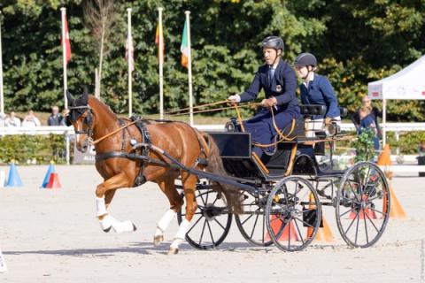 hest / Norges Rytterforbund 