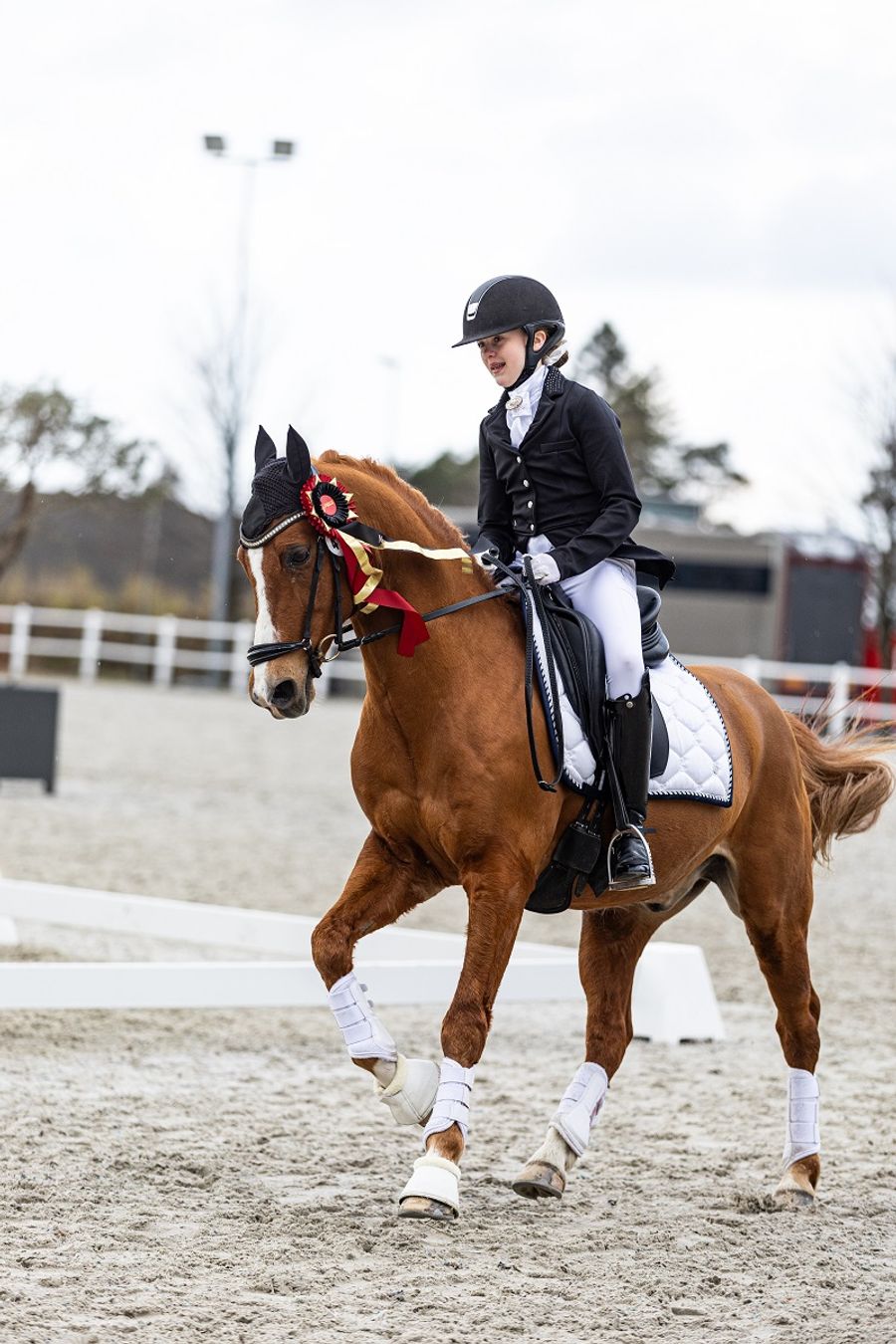 hest / Norges Rytterforbund