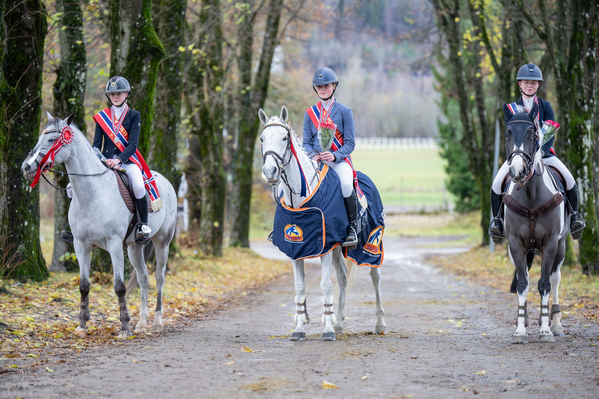 hest ponni sprang premie