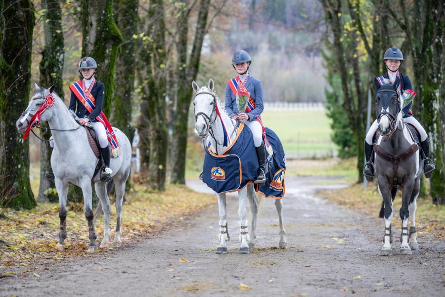 hest ponni sprang premie