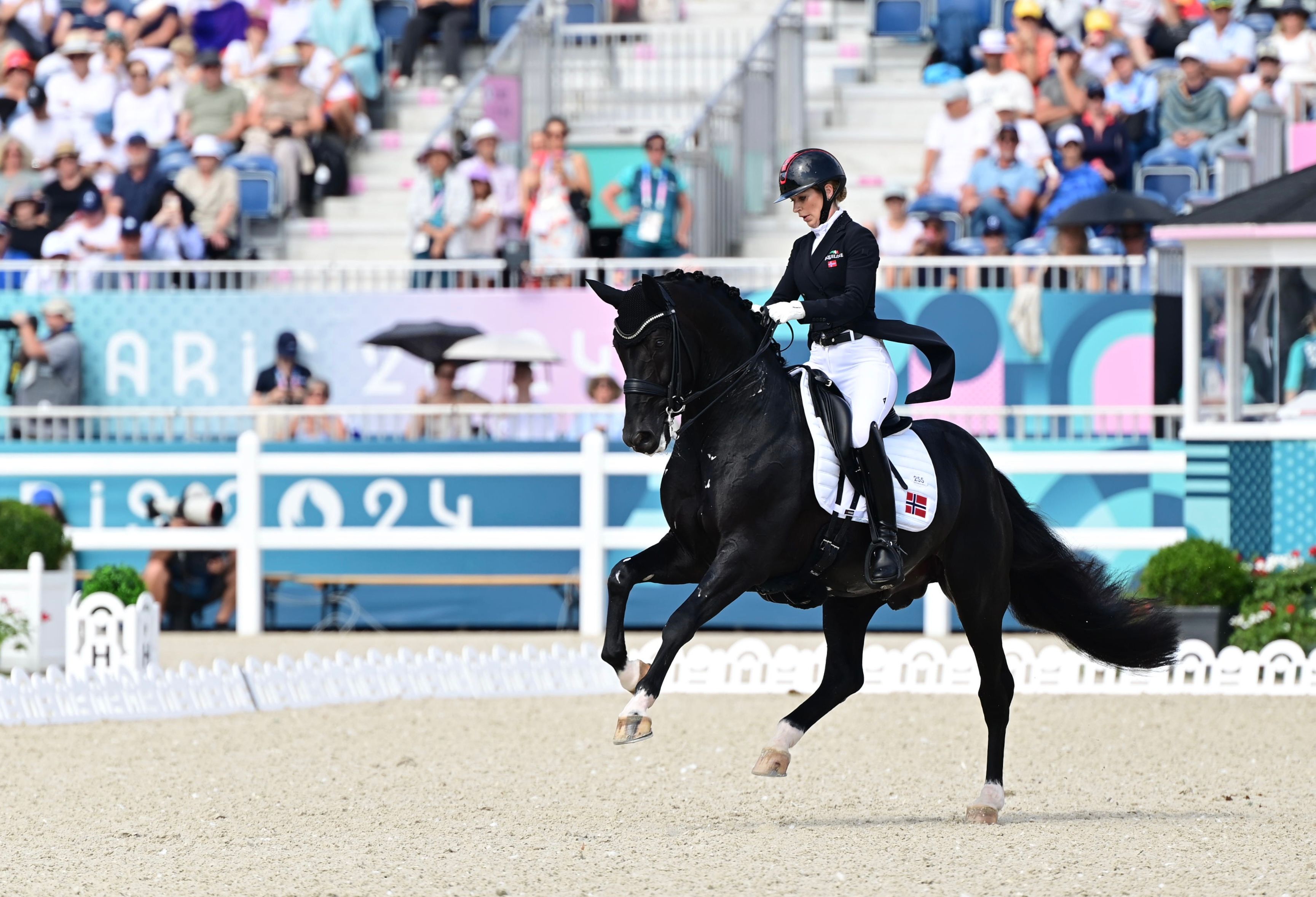 hest / Norges rytterforbund