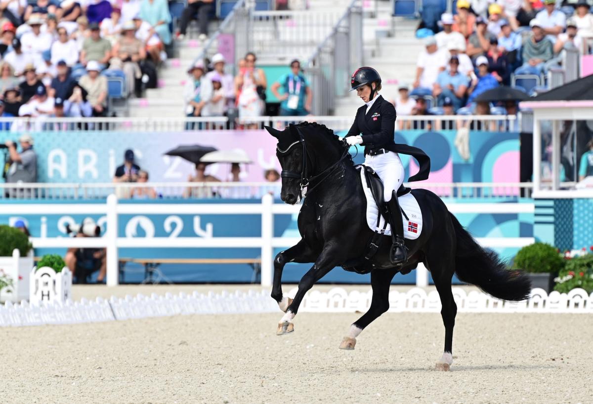 hest / Norges rytterforbund