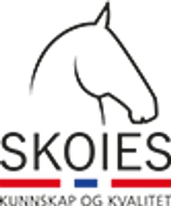 Skoies logo