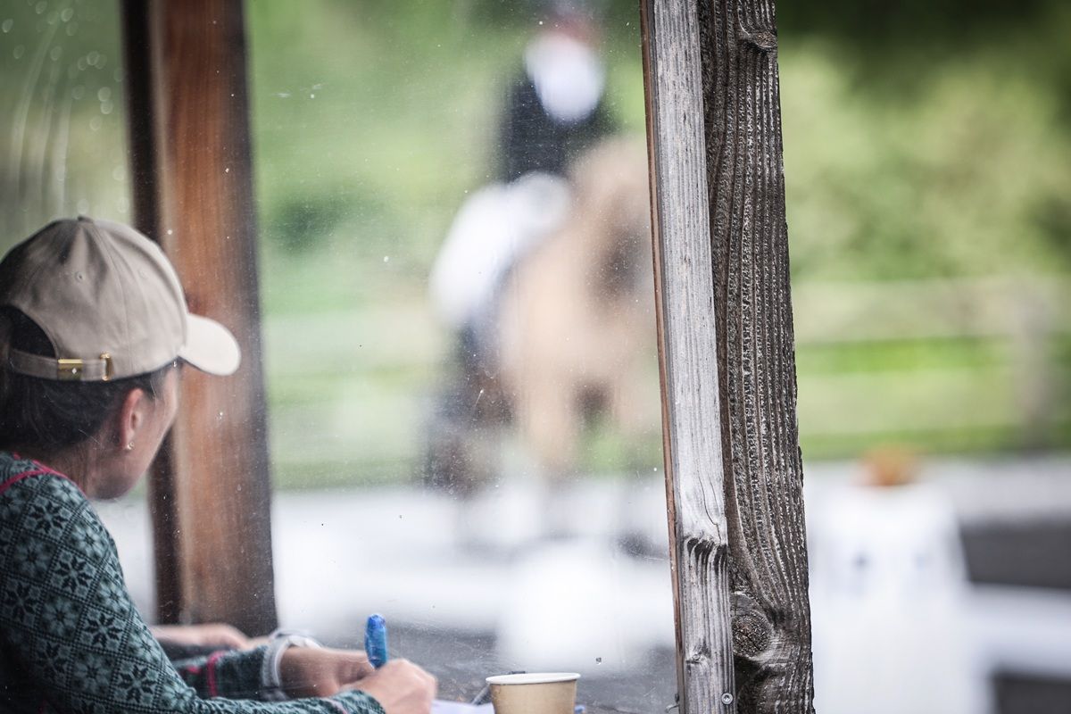 hest / Norges Rytterforbund