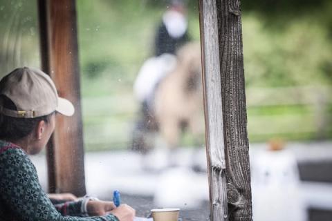 hest / Norges Rytterforbund 