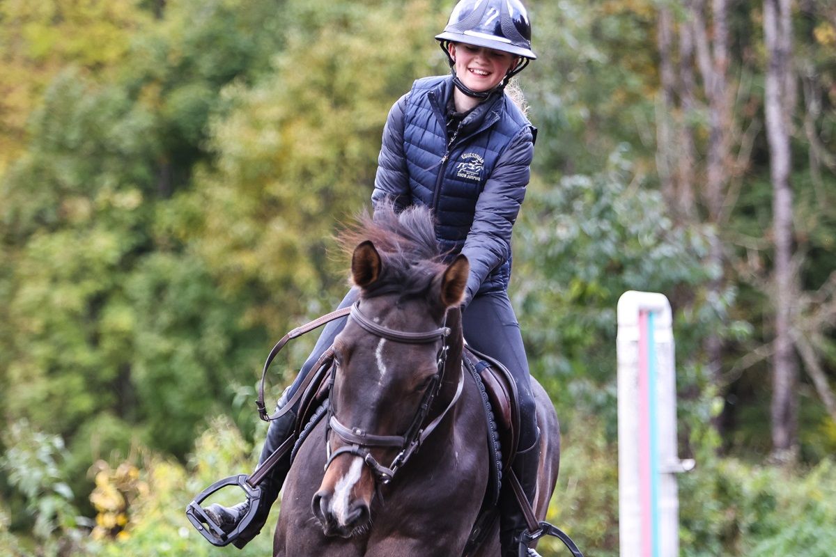 hest / Norges Rytterforbund 