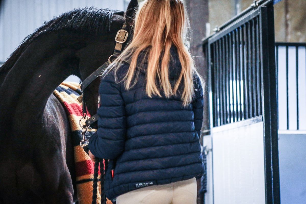 hest / Norges Rytterforbund