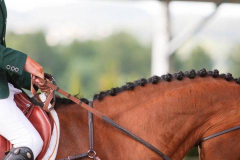 Illustrasjonsbilde/ sprang/ NRYF