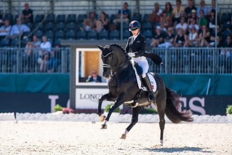 hest / Norges Rytterforbund