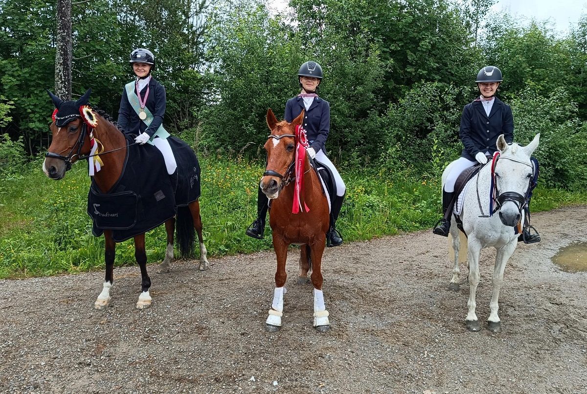 hest / Norges Rytterforbund