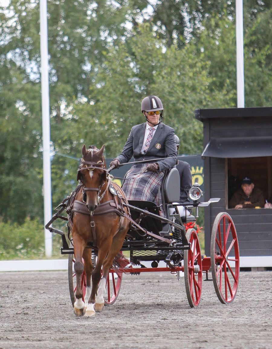 hest / kjøring / Øivind Mikkelsen / Norges Rytterforbund
