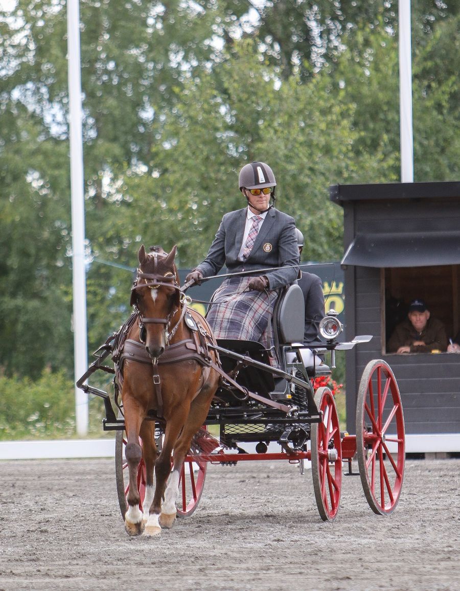 hest / kjøring / Øivind Mikkelsen / Norges Rytterforbund