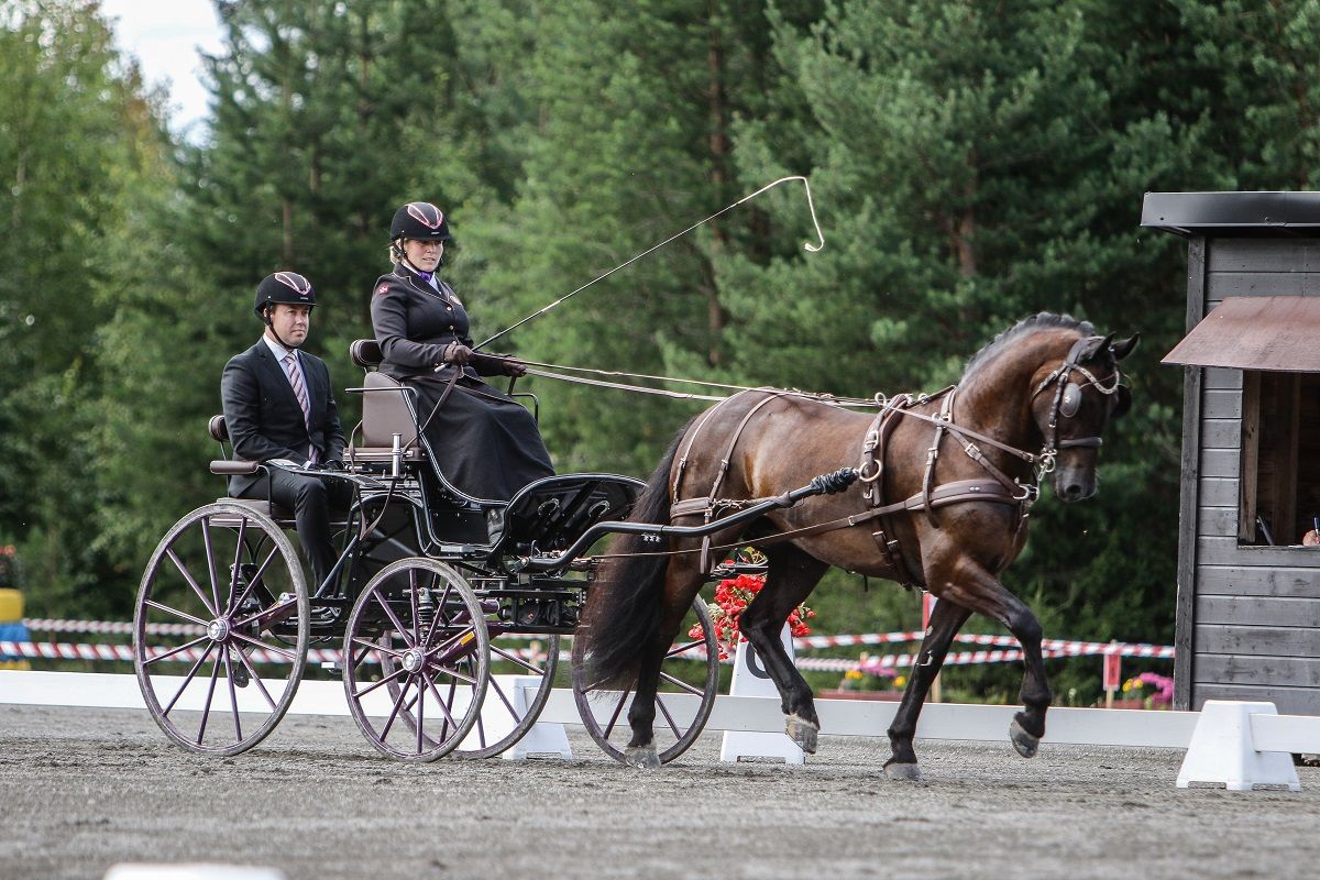 jeanette lund støen / hest / kjøring / Norges Rytterforbund