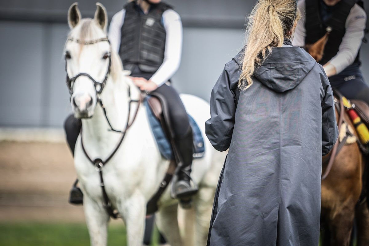 Trener / Ridetrener / Trenerlisens / hest / Norges Rytterforbund