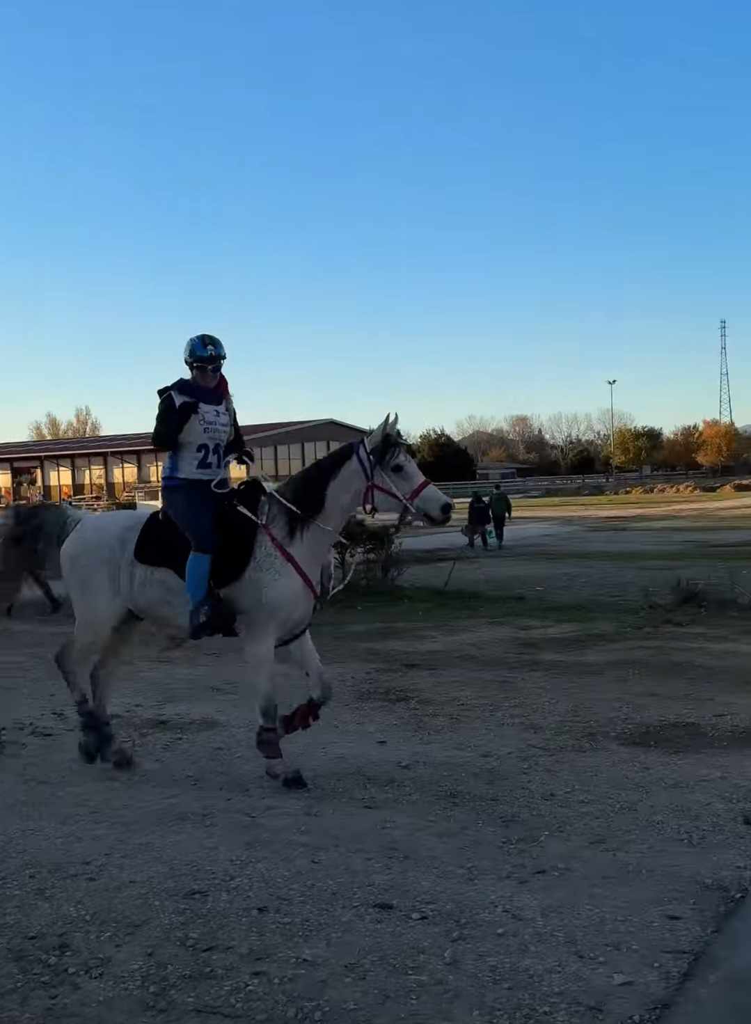 distanse / hest / Mari Kolstabråten Ekra / Norges Rytterforbund