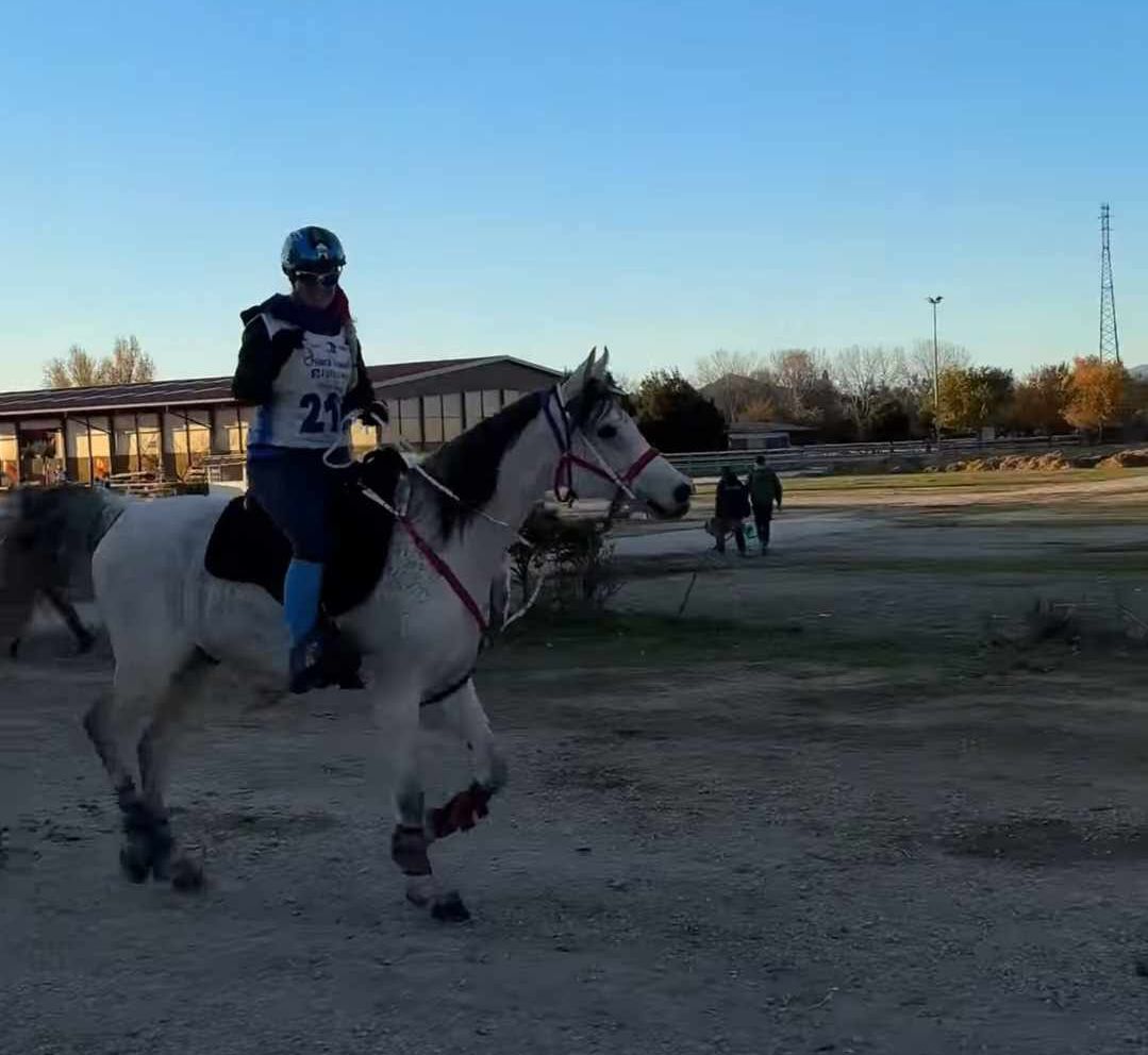 distanse / hest / Mari Kolstabråten Ekra / Norges Rytterforbund
