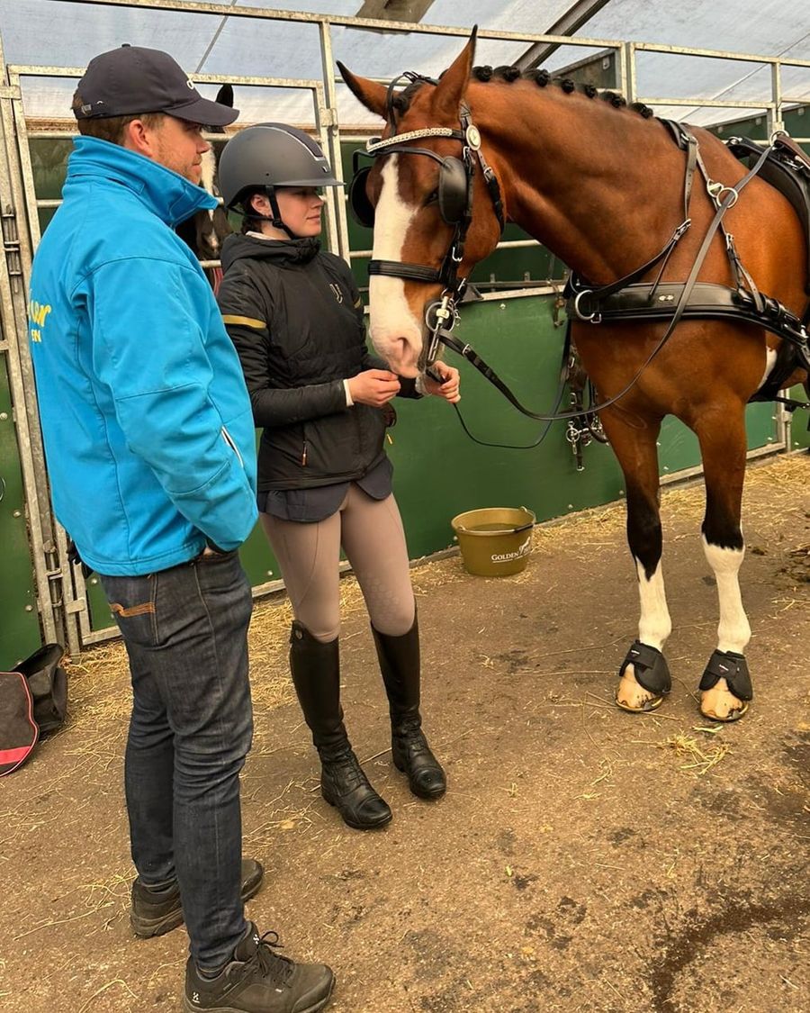 Maria Henrikssons Marko med groomer/internasjonal kjøring/NRYF