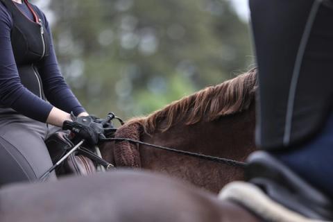 hest / Norges Rytterforbund