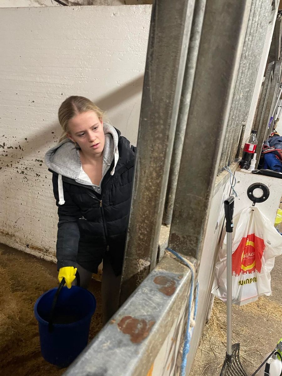 hest / Norges Rytterforbund