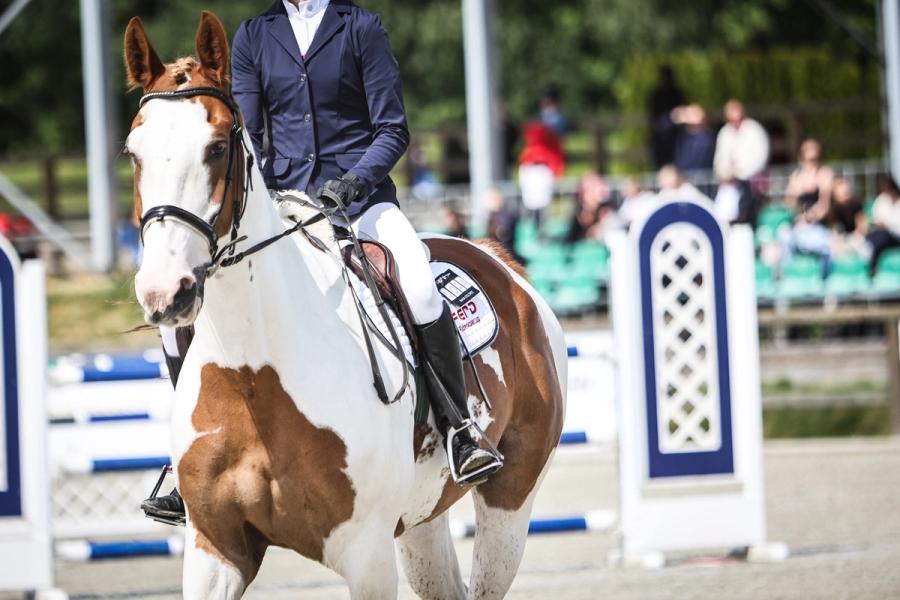 hest / Norges Rytterforbund / FERD Rideskolecup