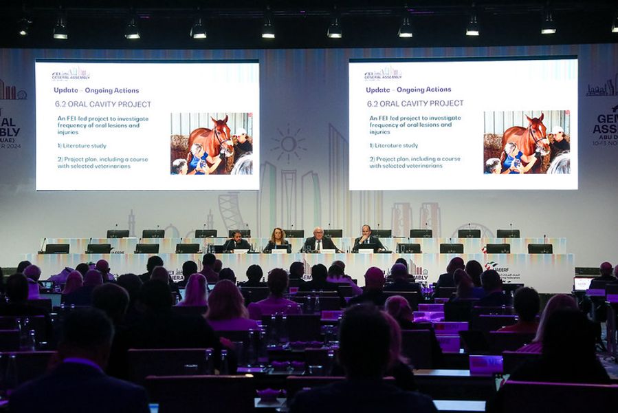 hest / Norges Rytterforbund