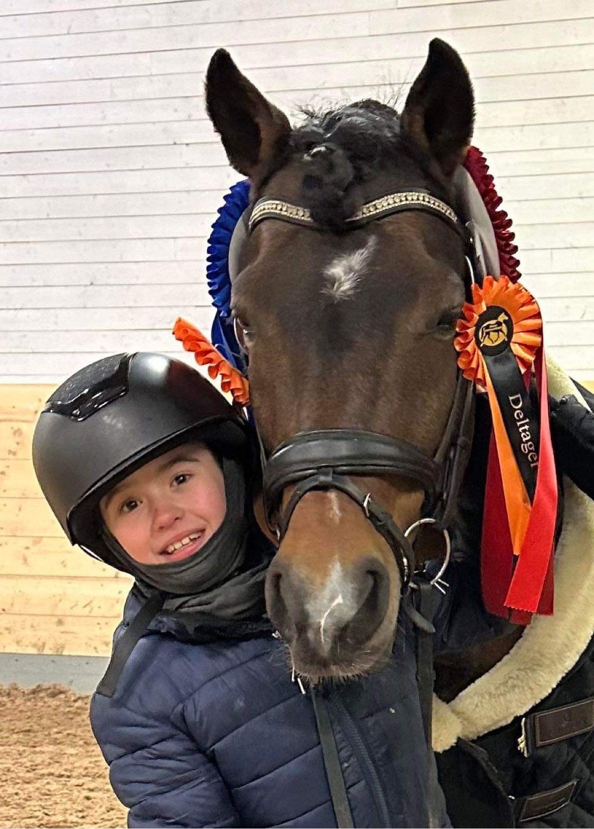 hest / Norges Rytterforbund