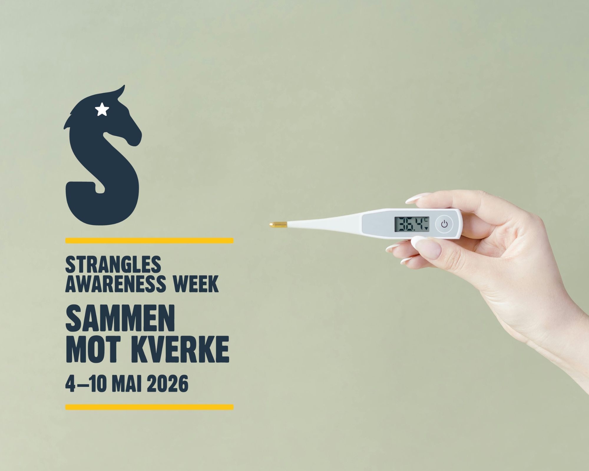 hest / Norges Rytterforbund / Stopp Kverken / Sammen mot kverke / Strangles Awareness Week