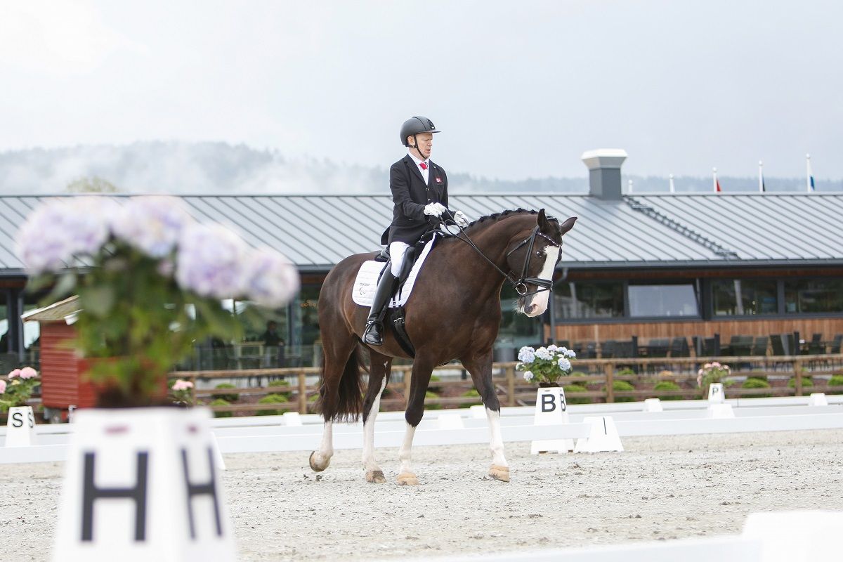 hest / Norges Rytterforbund