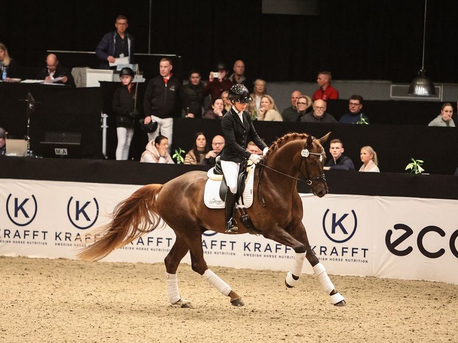 hest / Norges Rytterforbund