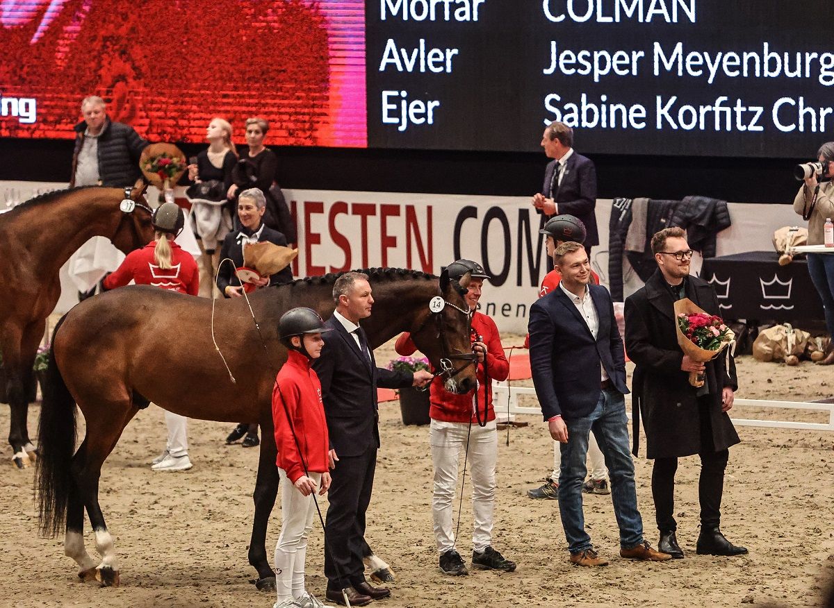 hest / Norges Rytterforbund