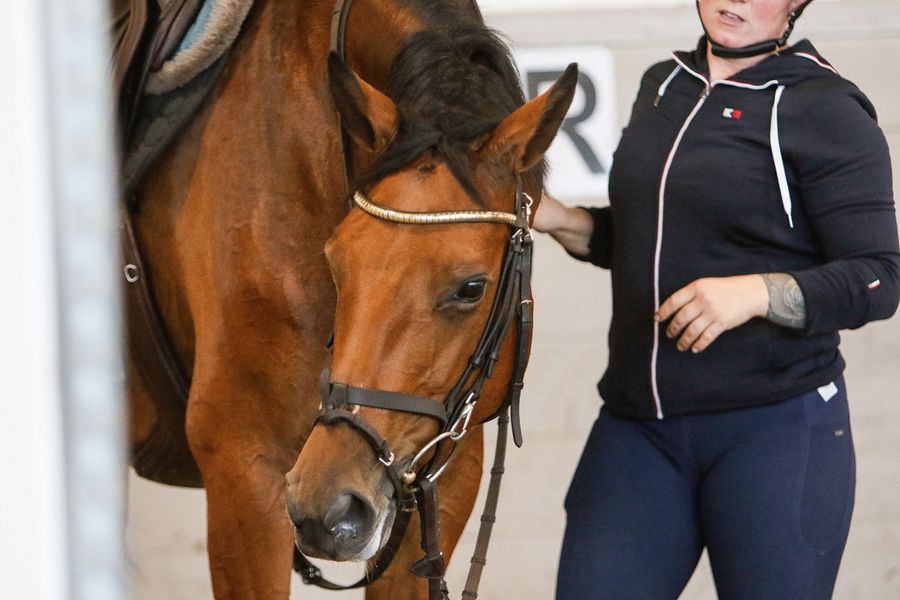 hest / trener / trening / Norges Rytterforbund