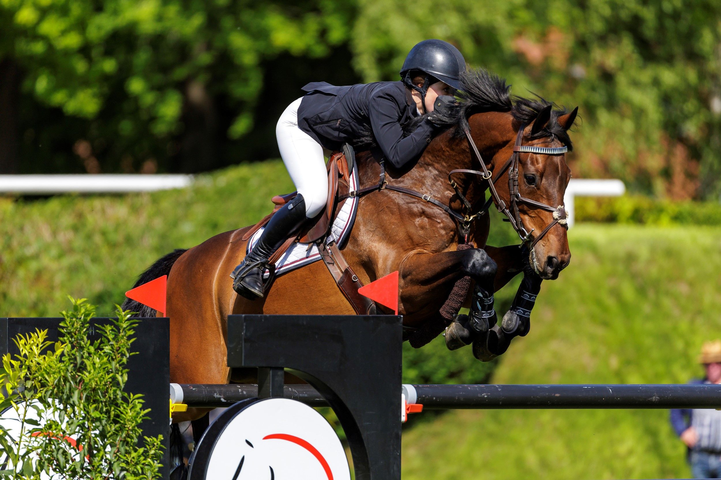 hest / Norges Rytterforbund