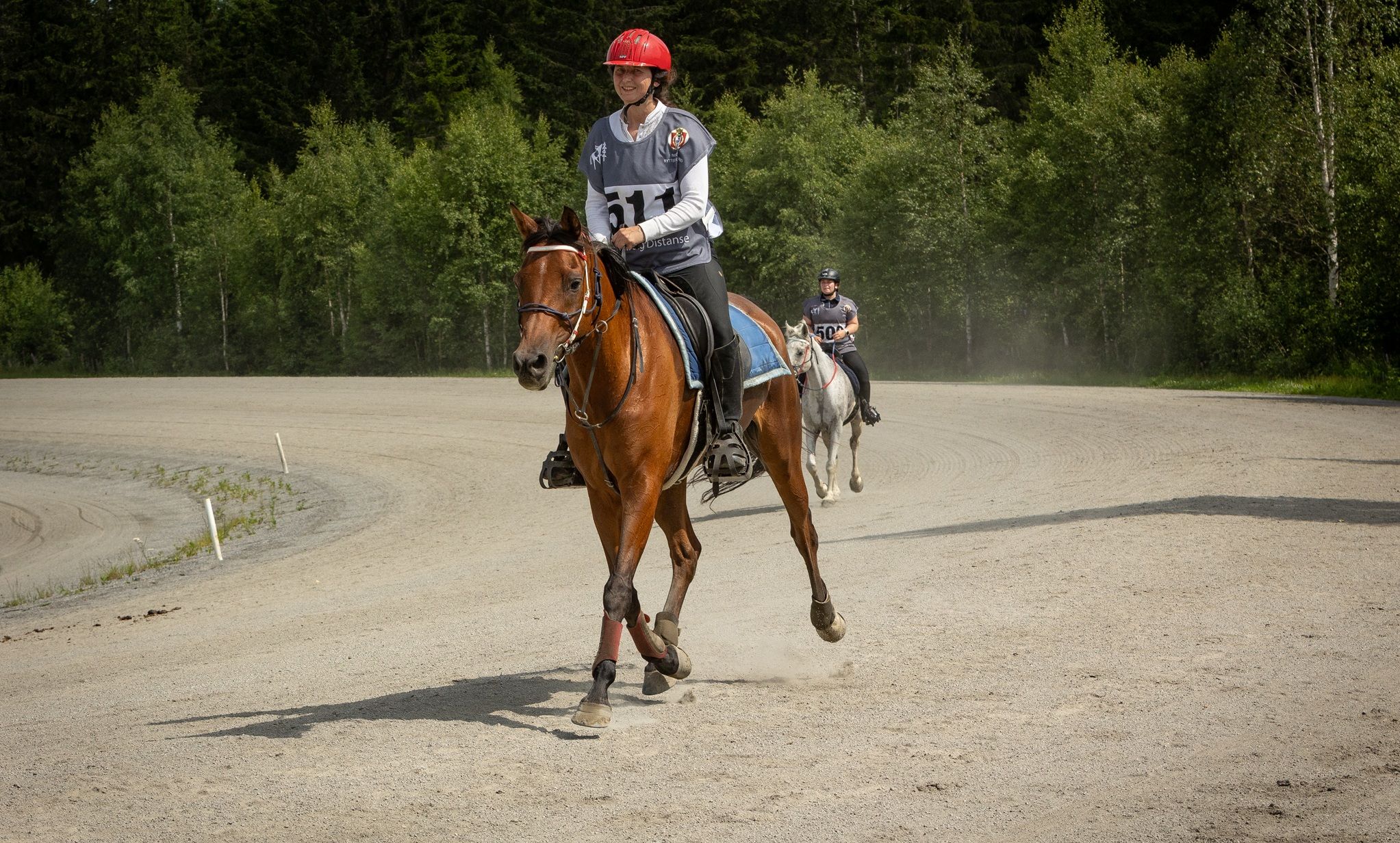 hest / Norges Rytterforbund 