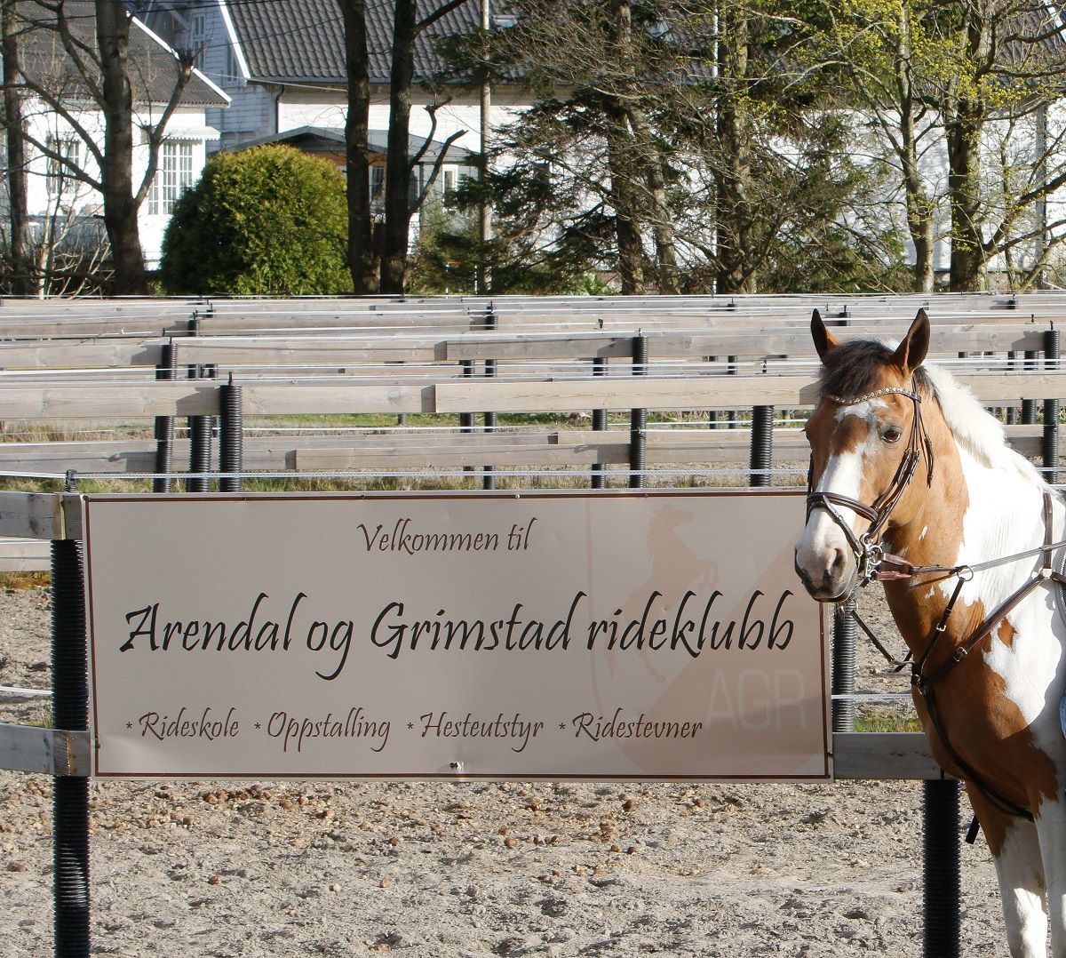 hest / Arendal og Grimstad Rideklubb / Norges Rytterforbund