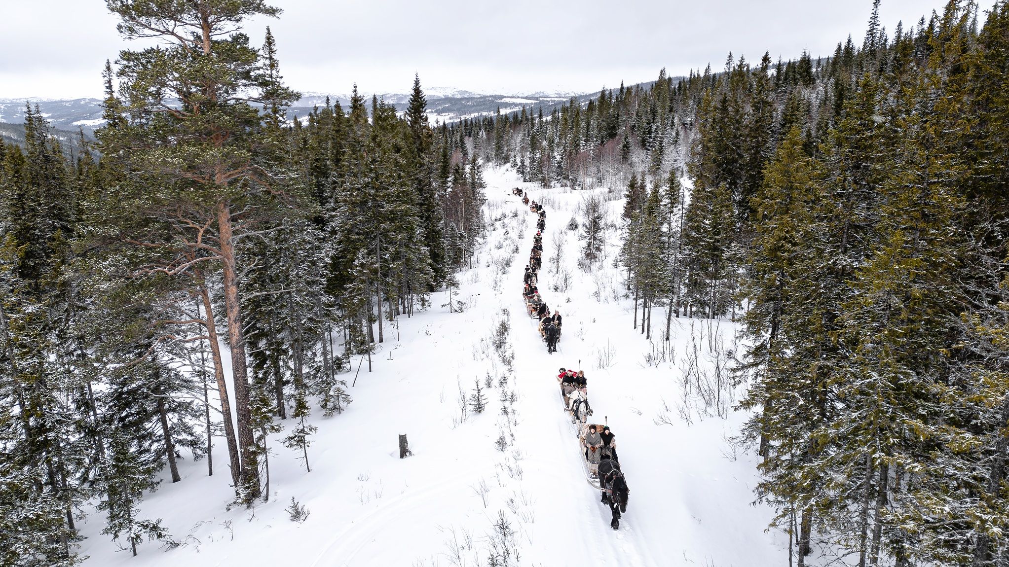 hest / Norges Rytterforbund / lasskjører