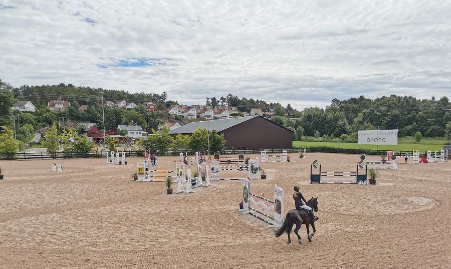 hest / Norges Rytterforbund