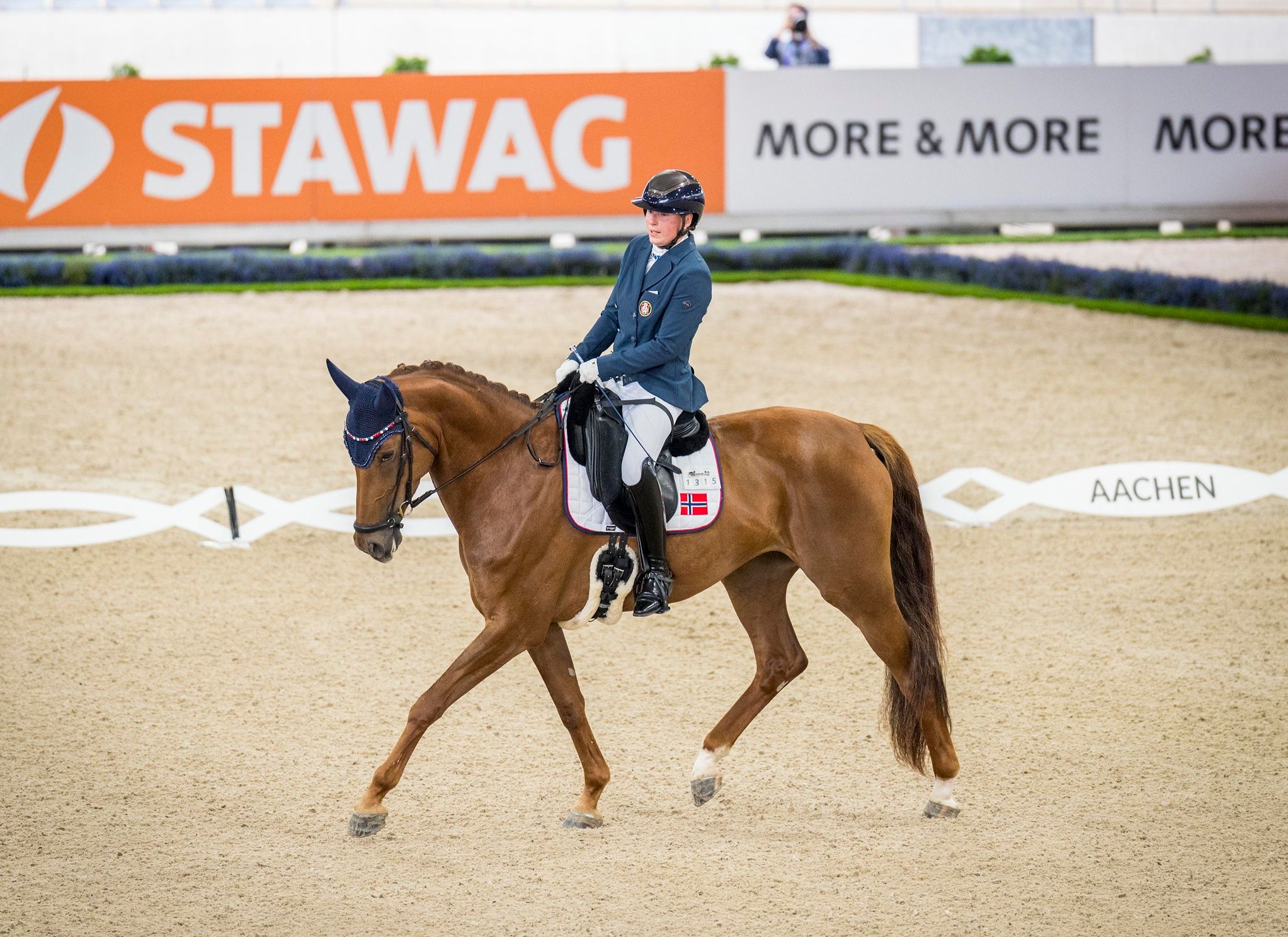 hest / Norges Rytterforbund / paradressur