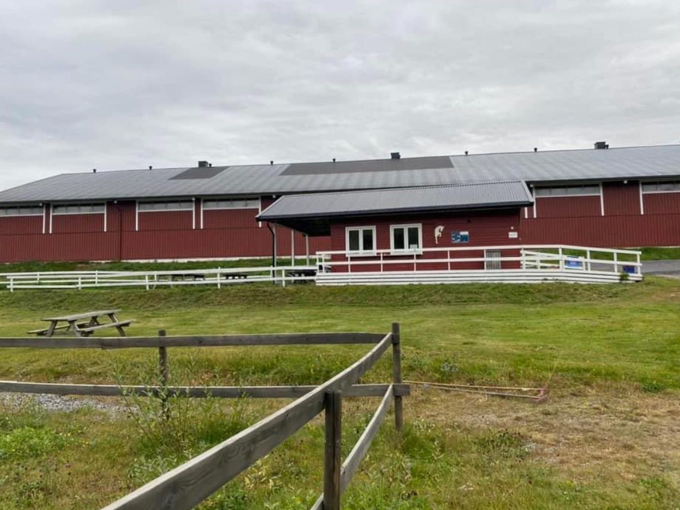 hest / Norges Rytterforbund