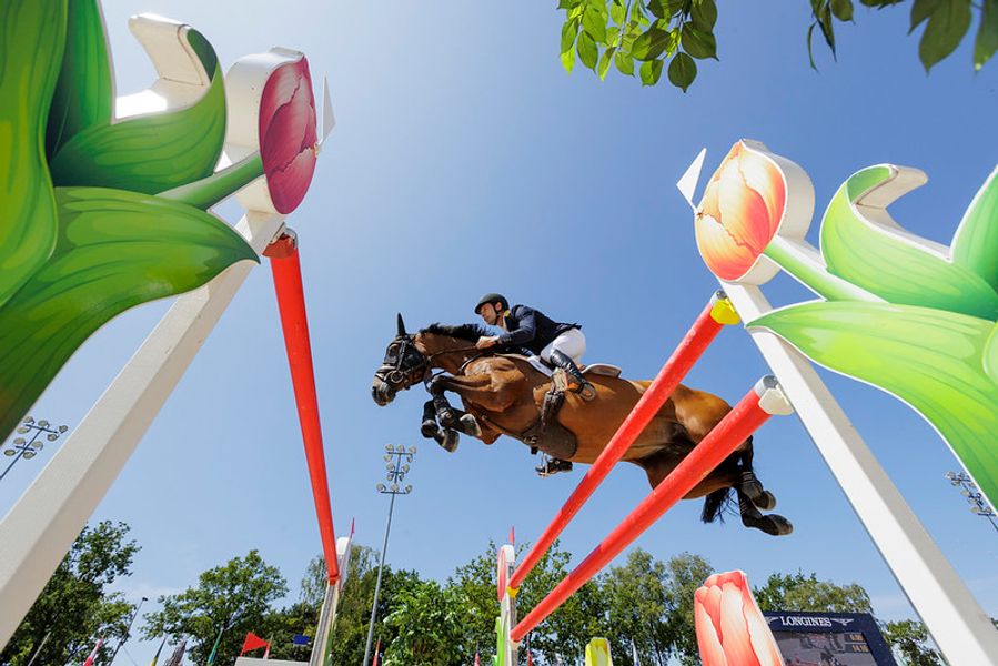 hest / sprang / sprangridning / Norges Rytterforbund