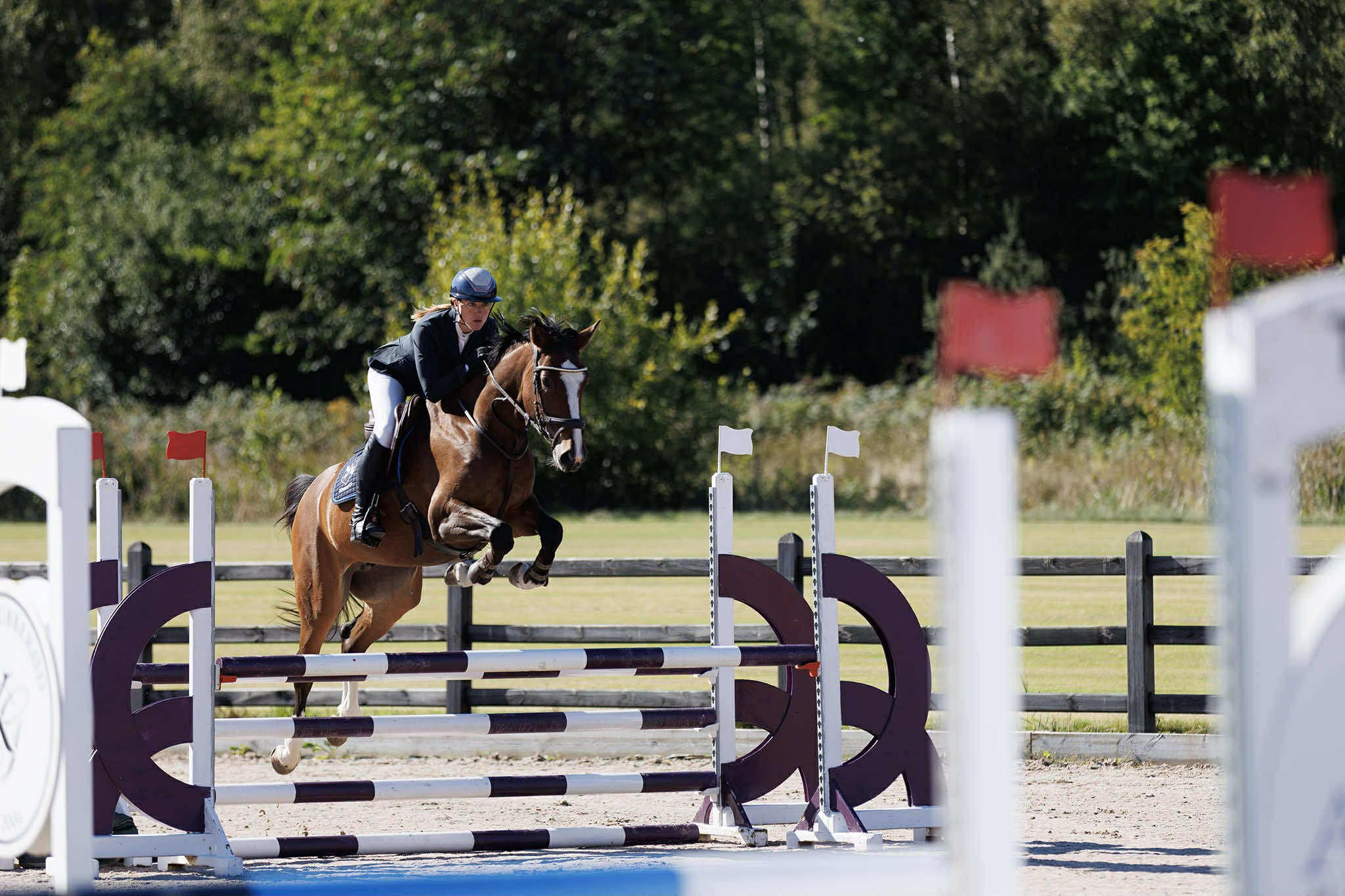 hest / Norges Rytterforbund